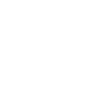 Kung-fu évolution