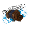 Zichara - Playing Bavaria Harmonica | ZiachON!