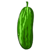 concombre