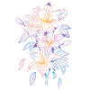 Lilies with a rainbow motif