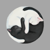Poster di Yin Yang Cats