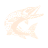 Toller Hecht