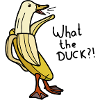 Banana Duck - What the Duck