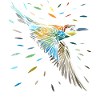 Colibri tribal