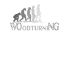 Woodturning Evolution Carpenter Woodworking