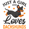 dachshund
