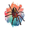 tarantulas