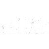 Evolution BMX Tshirt Design