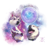 Three Kato Moon