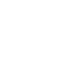Evolution skydiving skydiver