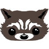 racoon