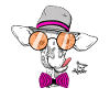 Hipster giraffe