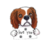 Funny Cavalier King Charles Spaniel Face