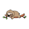 sleeping sloth