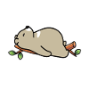 sleeping bear