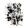 dalmata