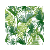 Tropical leaves