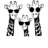 giraffe