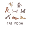 Fun cats yoga gift
