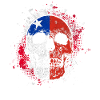 Chile Flag Skull