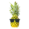 Pineapple Sunglasses