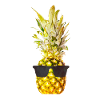 Sunglasses Pineapple