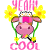 Vache drôle