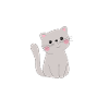 Cute cat