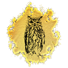 owls