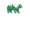 Bear Brown Bear Nature