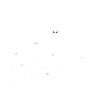 Bats