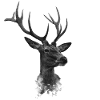 Deer head with antlers