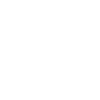 SKI EVOLUTION