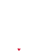mein hund
