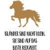 isländer