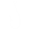 Pêche pêche