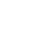 Elegant fox shark