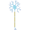 Neuron