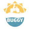 Beach Buggy Dune Buggy Lover