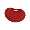 Kidney bean
