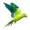Perroquets perruche polygone oiseau art