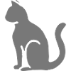 Chat Cat Cat Page Profile