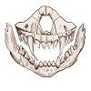 Face mask predator skeleton dentition monster