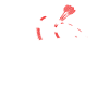 dart