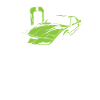 electric car