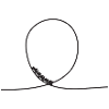 Looping