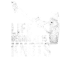 Kite kite Kitefer Surf