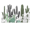 Cactus can't touch this!