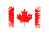 Canada Canadian flag flag
