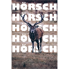 Das istn Hörsch!